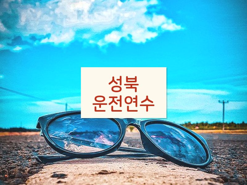 성북운전연수 후기