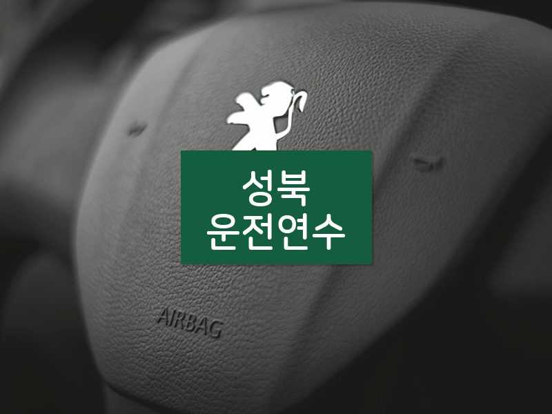 성북운전연수 후기
