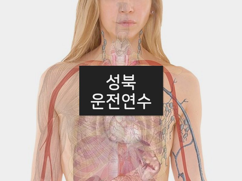 성북운전연수 후기