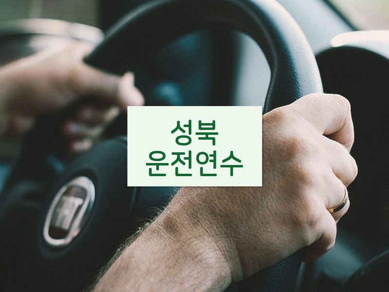 성북운전연수 후기