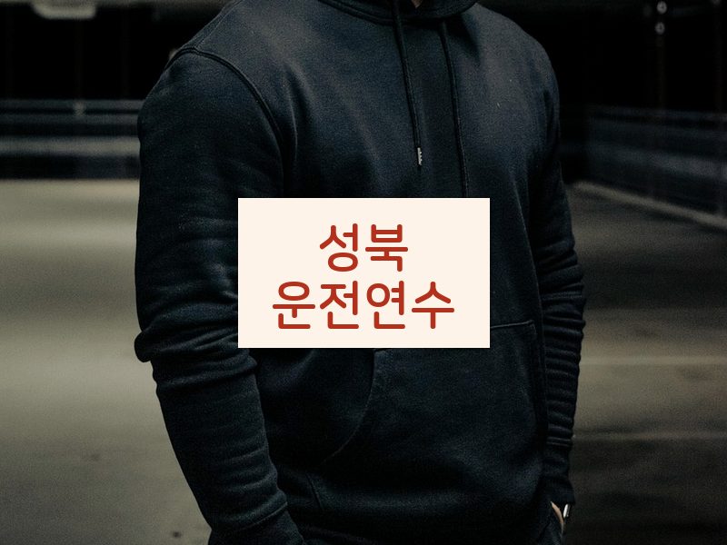 성북운전연수 후기