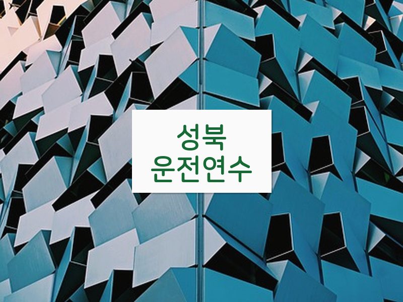 성북운전연수 후기