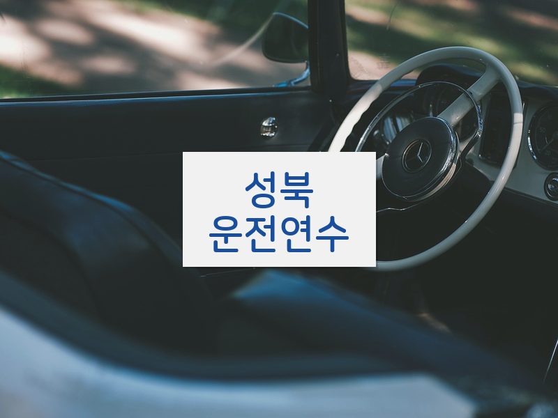 성북운전연수 후기