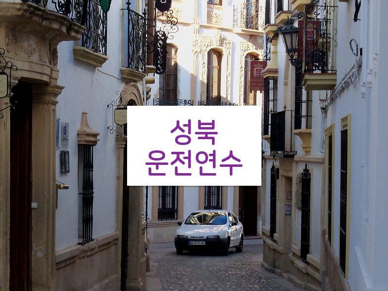 성북운전연수 후기