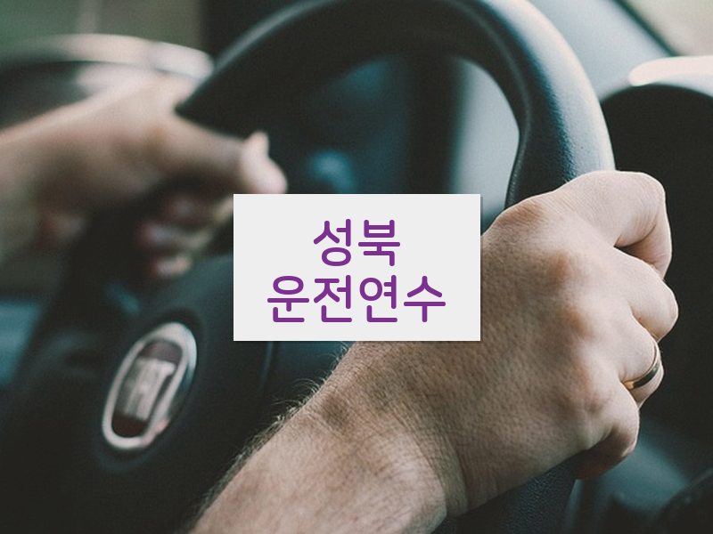 성북운전연수 후기