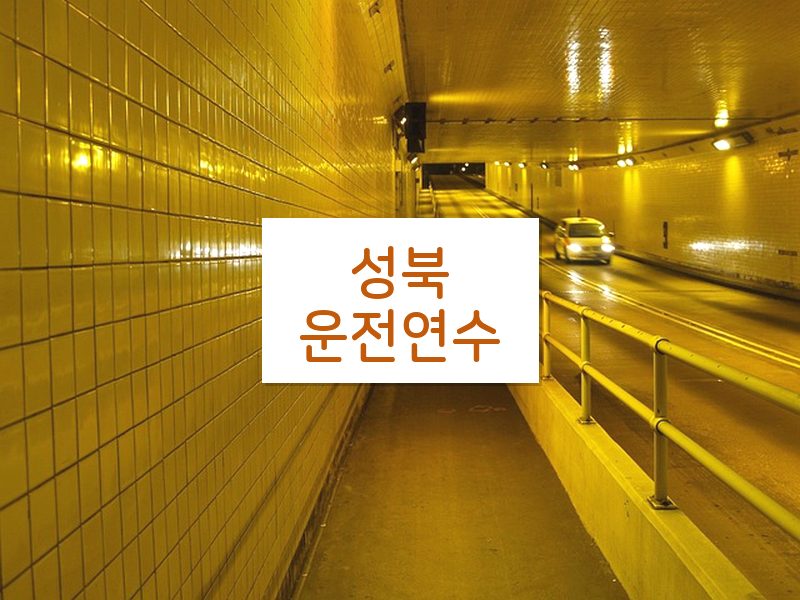 성북운전연수 후기