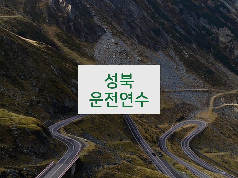 성북운전연수 후기