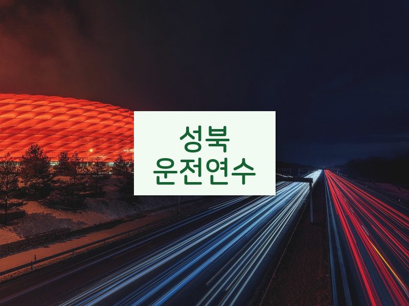 성북운전연수 후기