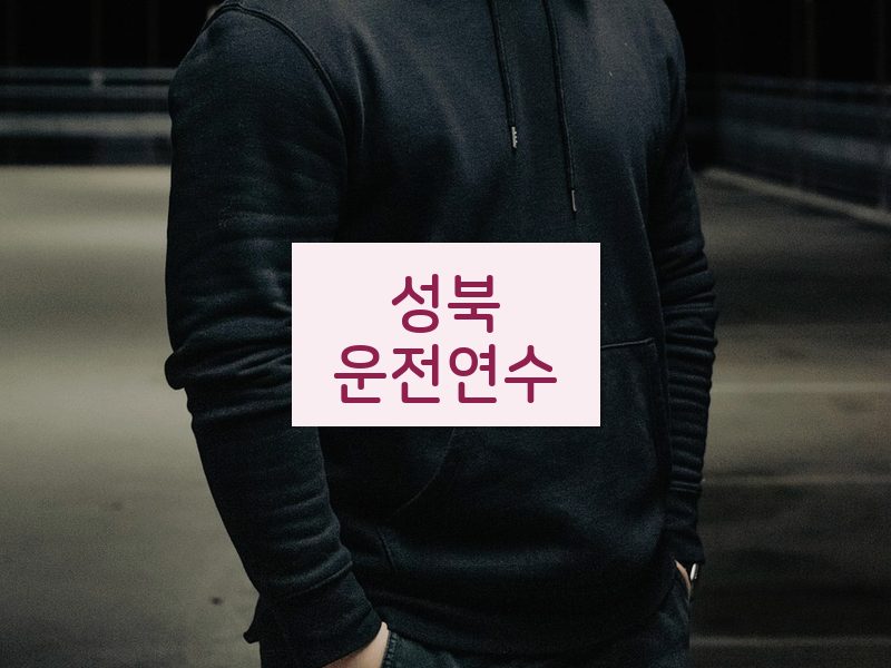 성북운전연수 후기