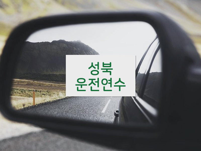 성북운전연수 후기