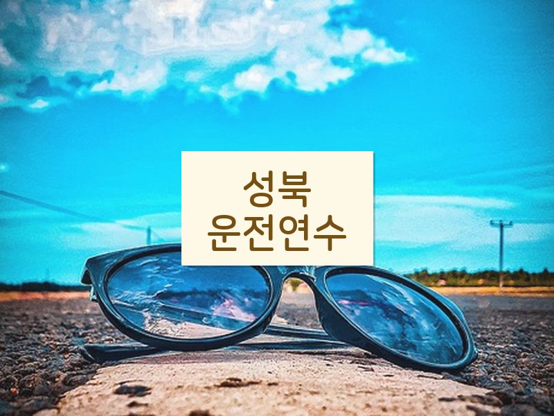 성북운전연수 후기