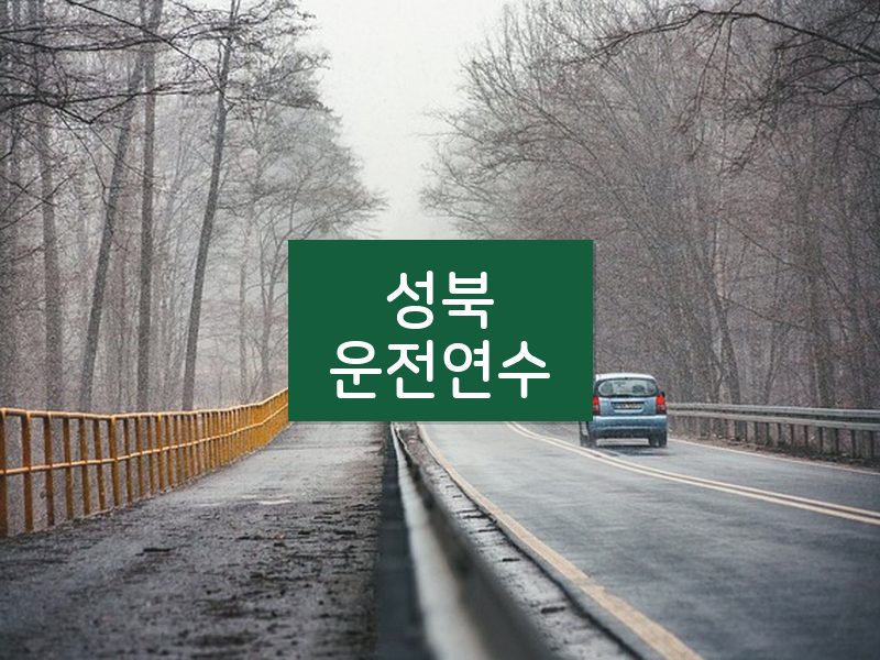 성북운전연수 후기