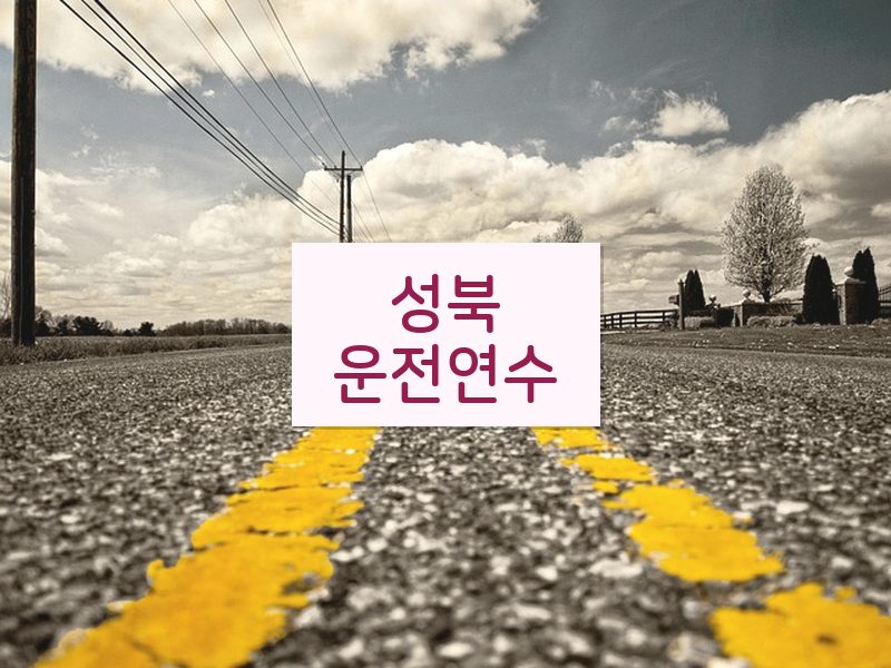 성북운전연수 후기