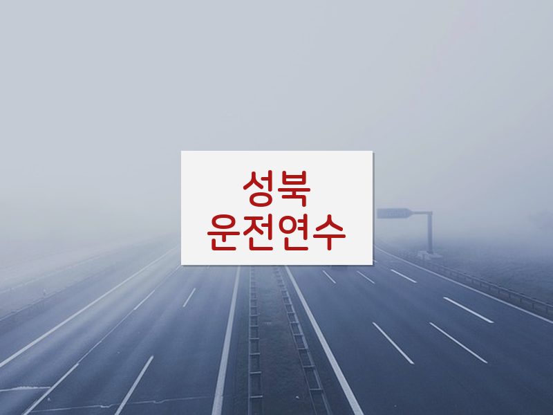 성북운전연수 후기