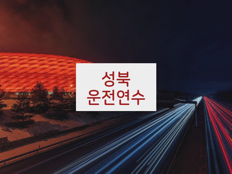 성북운전연수 후기