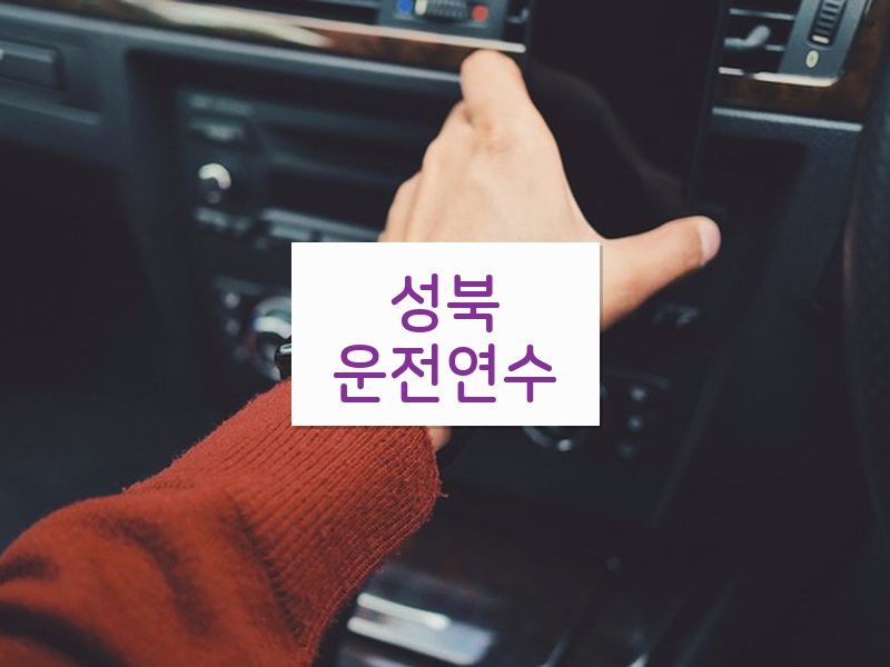 성북운전연수 후기