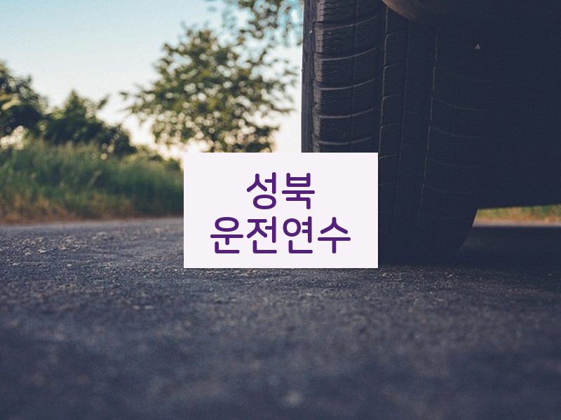 성북운전연수 후기