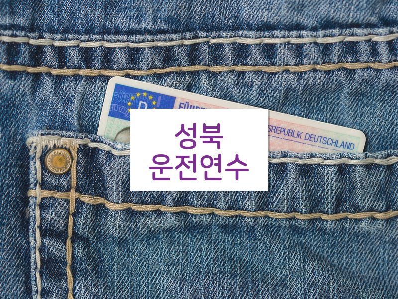 성북운전연수 후기