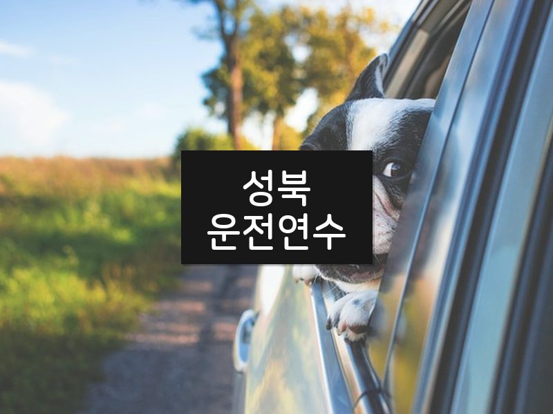 성북운전연수 후기