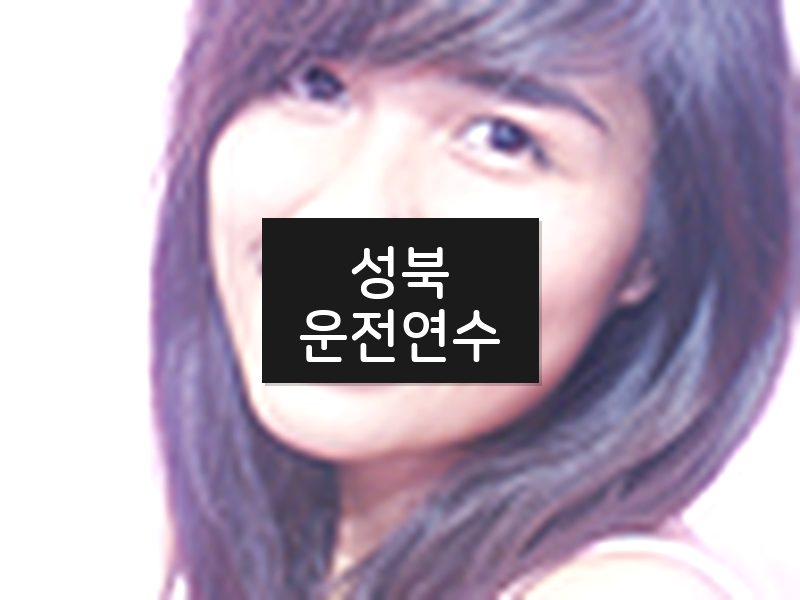 성북운전연수 후기