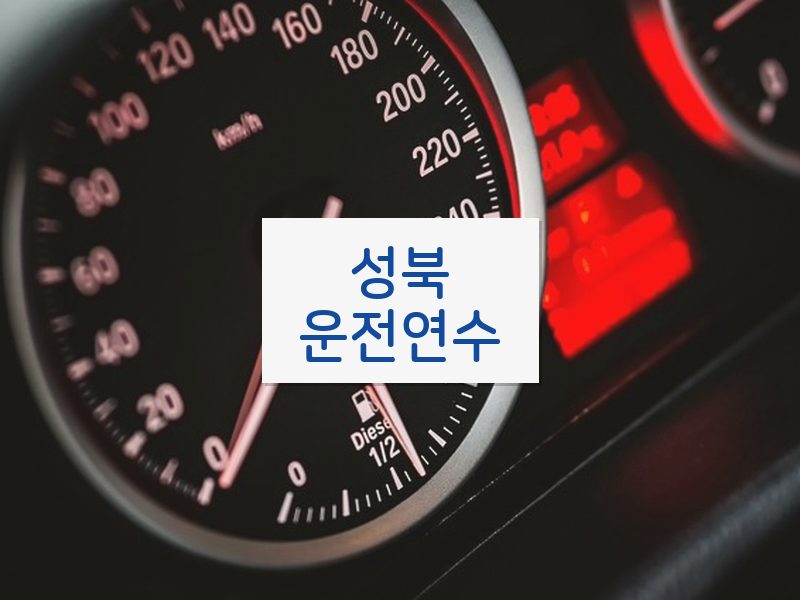 성북운전연수 후기