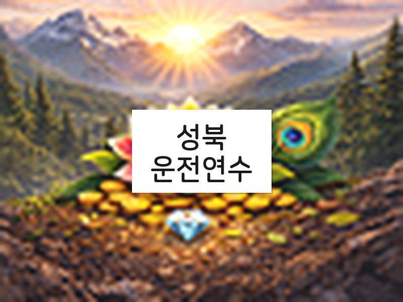 성북운전연수 후기