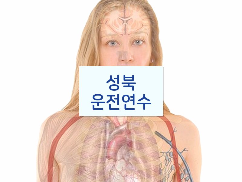 성북운전연수 후기