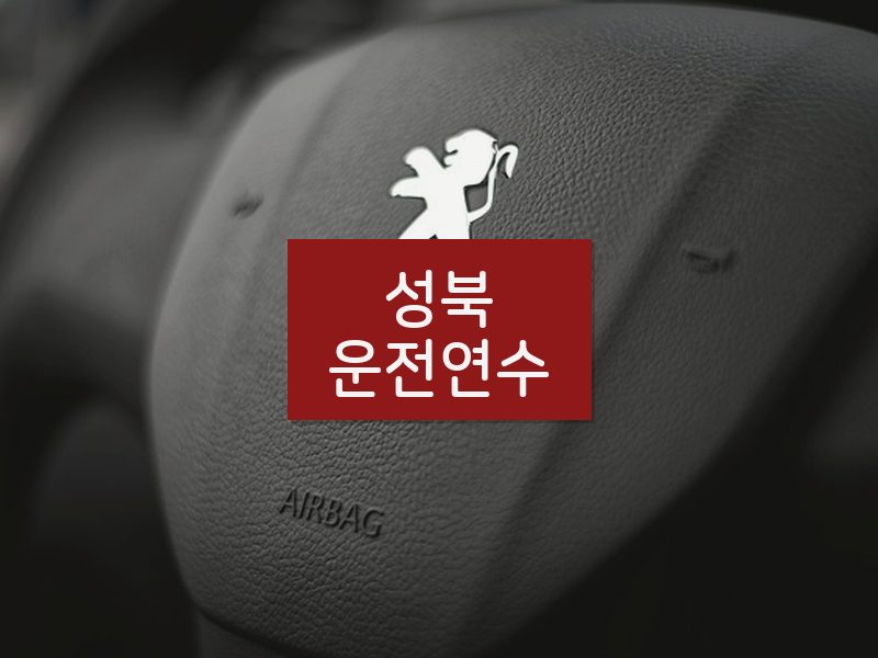 성북운전연수 후기