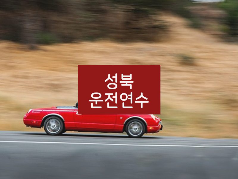 성북운전연수 후기