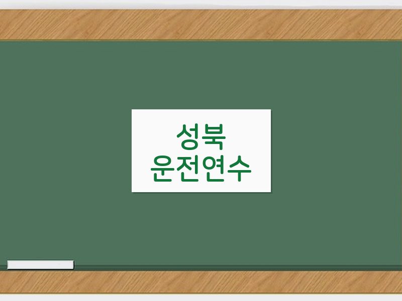 성북운전연수 후기