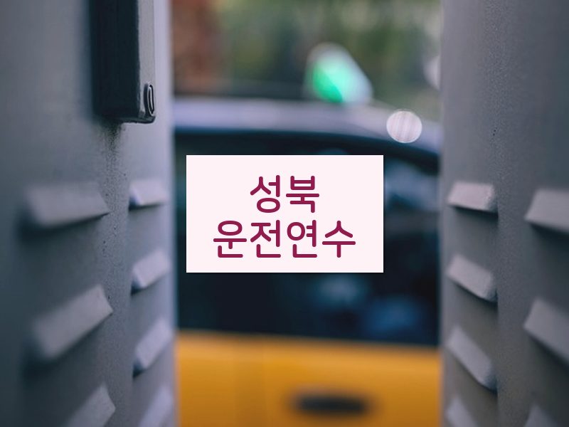 성북운전연수 후기