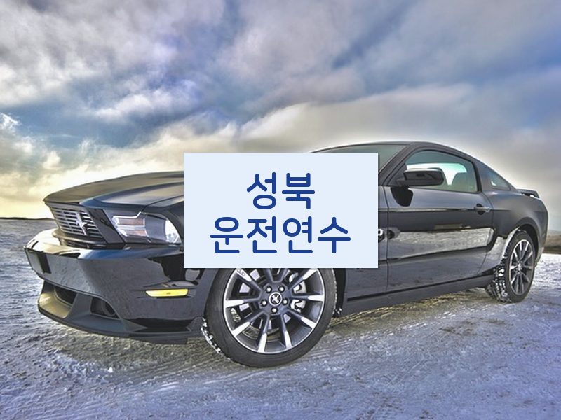 성북운전연수 후기