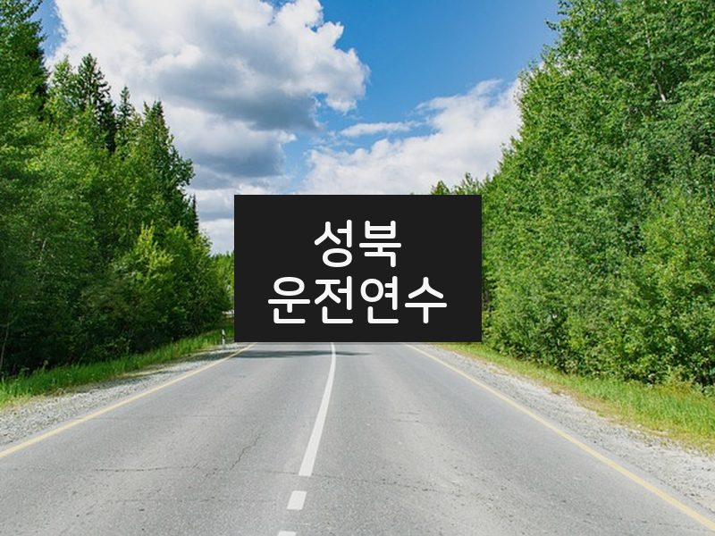 성북운전연수 후기