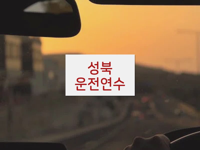 성북운전연수 후기