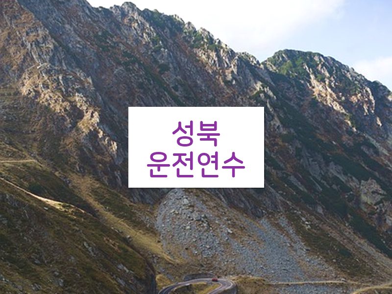 성북운전연수 후기