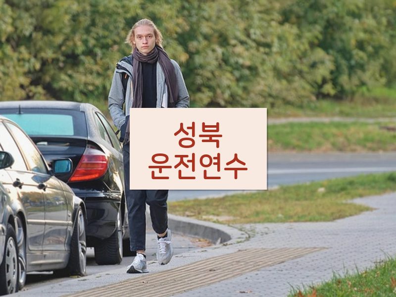 성북운전연수 후기