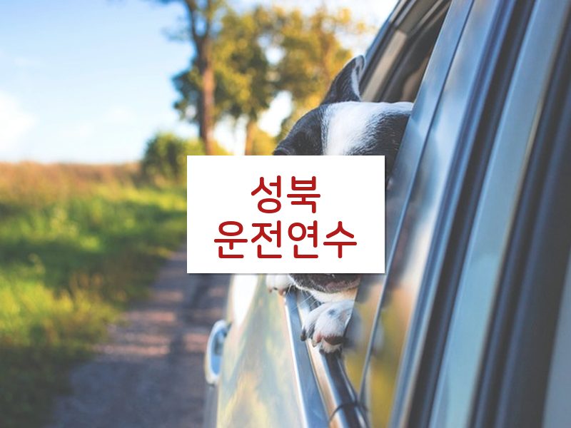 성북운전연수 후기