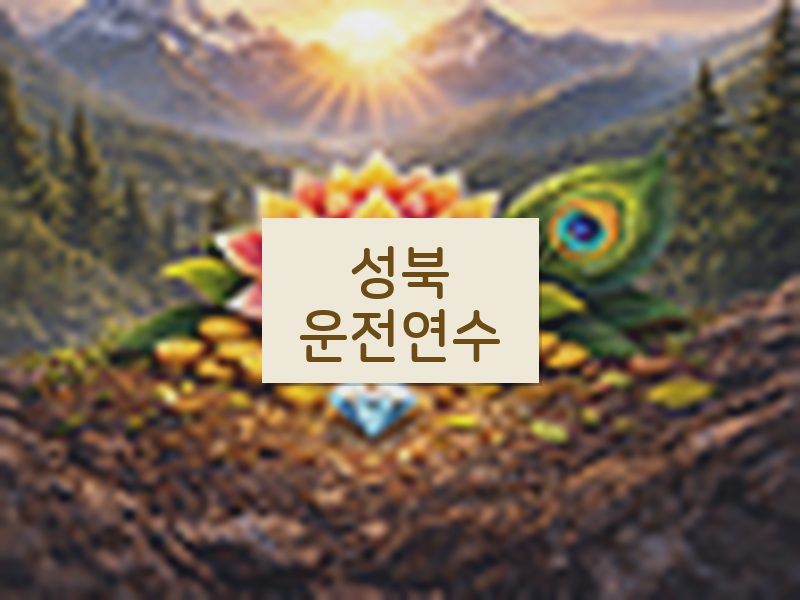 성북운전연수 후기