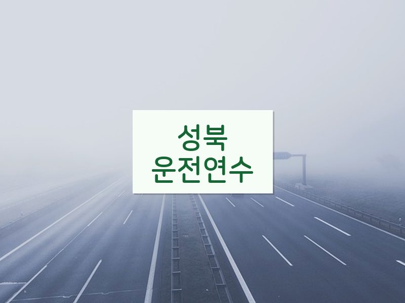 성북운전연수 후기