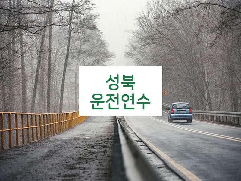 성북운전연수 후기