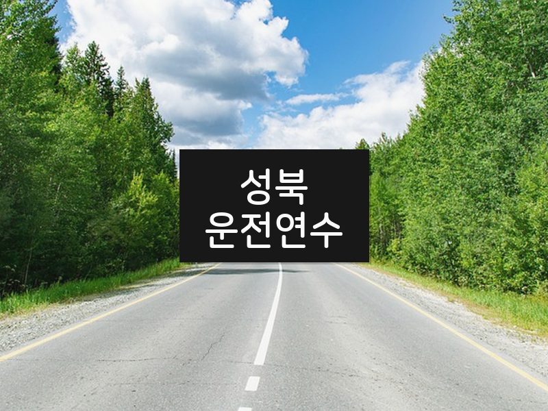 성북운전연수 후기