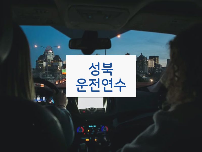 성북운전연수 후기