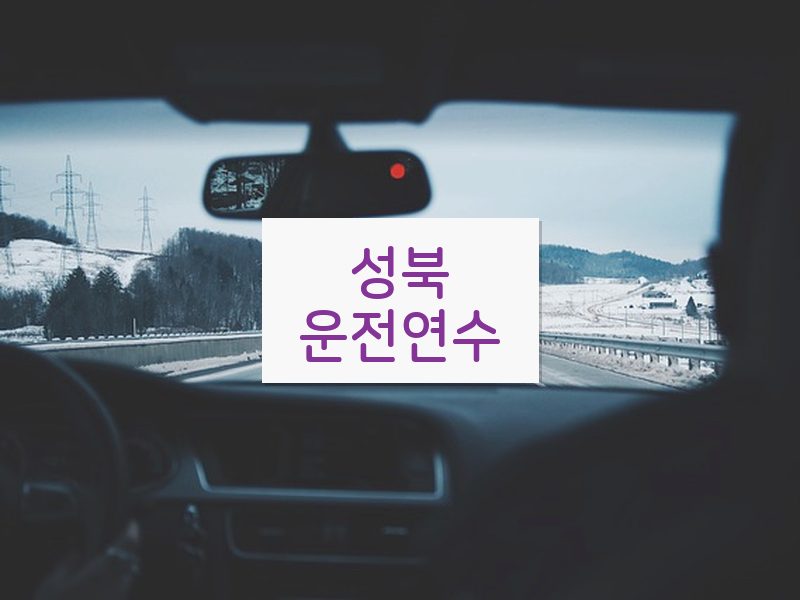 성북운전연수 후기
