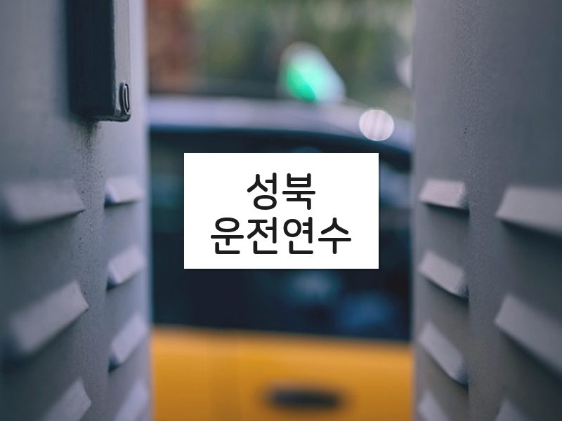 성북운전연수 후기
