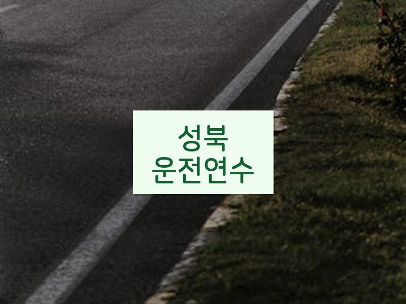성북운전연수 후기