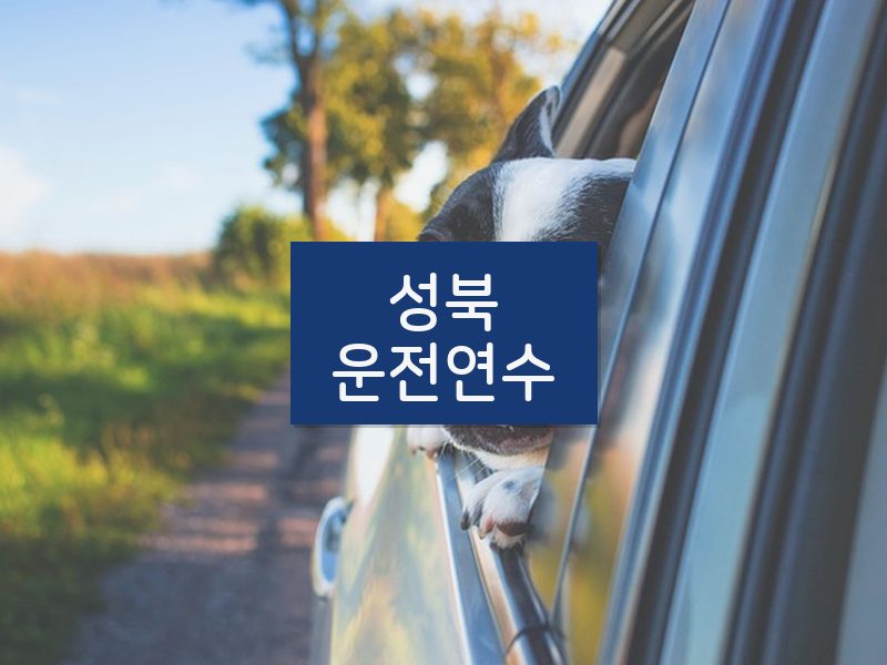 성북운전연수 후기
