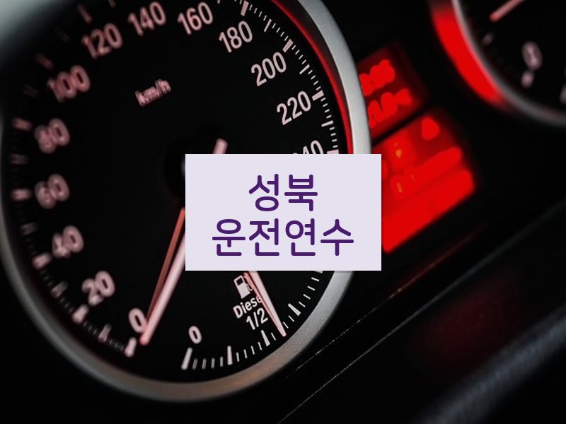 성북운전연수 후기