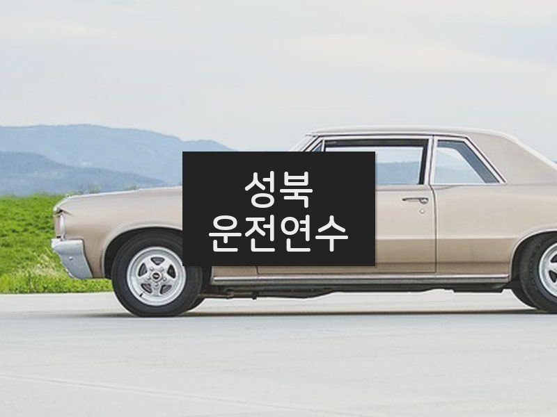 성북운전연수 후기