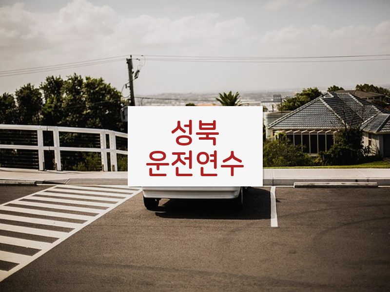 성북운전연수 후기