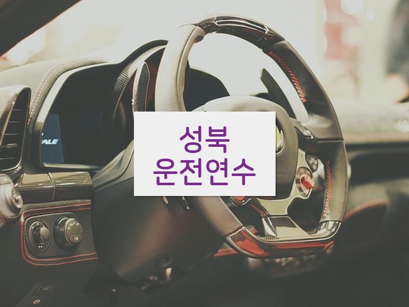 성북운전연수 후기